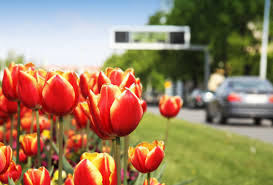 Spring is here…. what does that mean for your car?