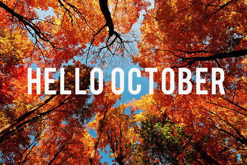 October Newsletter is here!!!